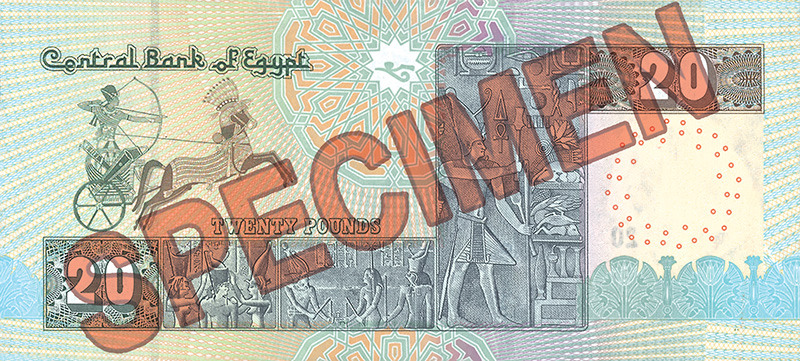 20 EGP back