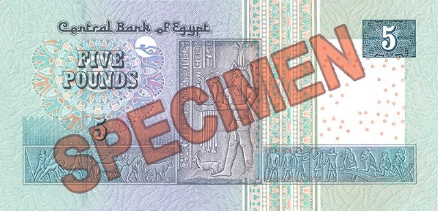 EGP 5 back