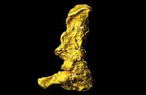 Cizma lui Cortez, pepită de aur